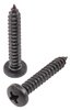 Phillips Pan Head Sheet Metal Screws 8 x 1 in. [Black] - image 2
