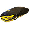 Economical Car Cover Large - image 2