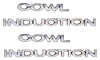 Cowl Induction Hood Emblems for 1970-1972 Chevrolet Chevelle, El Camino SS [Set of 2] - image 1