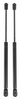 Trunk Lid Lift Supports for 1993-2002 Chevrolet Camaro, Pontiac Firebird [Convertible] - image 2