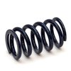 C-Series 2 x 4 in. Spring - 950 lbs. - image 3