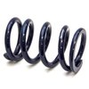 Z-Series 5.5 x 9.5 in. Front Spring - 300lbs. - image 3