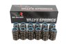 BTR-1515-16 1515 Valve Spring Set - image 2