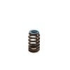 BTR-1515-16 1515 Valve Spring Set - image 3