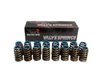 BTR-1515-16 1515 Valve Spring Set - image 4