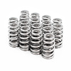 BTR-1515 1515 Valve Spring - image 1