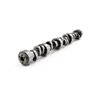 BTR-32430090 Hydraulic Roller Stage 4 Camshaft for GM Gen III/IV LS Truck Engines - image 2