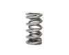 BTRXP1237-1 Dual Valve Spring - image 2