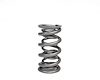 BTRXP1238-1 Dual Valve Spring - image 1