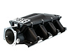 IMA-01-BLK Equalizer EFI Intake Manifold, GM LS1/2/6 - Cathedral Port [Black Powder Coat Finish]