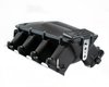 IMA-01-BLK Equalizer EFI Intake Manifold, GM LS1/2/6 - Cathedral Port [Black Powder Coat Finish] - image 4