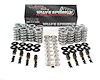 SK001/T/0560/BB Platinum Dual Spring Kit, GM LS, Max Lift: .660 in.