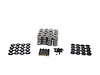 SK001/S/0545/BB Platinum Dual Valve Spring Kit, GM LS, Max Lift: .660 in.