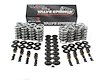 SK001/S/6545/BB Platinum Dual Valve Spring Kit, GM LS, Max Lift: .660 in.