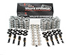 SK001/T/0545/BB Platinum Dual Spring Kit, GM LS, .660 in. Lift