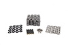 SK001/T/6560/BB Platinum Dual Spring Kit, GM LS, .660 in. Lift - image 1