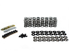 SK703/6560/BB .650 in. Ultimate Rpm Spring Kit w/ Titanium Retainers, .565 in. ID, .060 in. Thick Locators - image 1