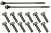 BTR-LSOILPANBOLTS Stock Replacement GM Gen III/Gen IV LS Oil Pan Bolt Kit - image 1