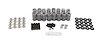 BTR-SK008/2060/BB/TS .660 in. Platinum LT4 Spring Kit With Tip Savers - image 1