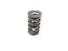 BTR-SK008/2060/BB/TS .660 in. Platinum LT4 Spring Kit With Tip Savers - image 3