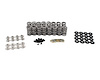 SK704/0520/BB .685 in. Lift GEN V LT4 Spring Kit - image 1