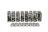 SK009 Extreme Spring Kit, Ford 4.6 2V Modular, .600 in. Lift, Titanium Retainers - image 1