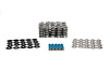 SK011/VSLS Platinum  Dual Spring Kit, Dodge Viper, .660 in. Lift - image 1