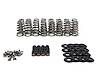SK013/6545 Gen V LT Conical Spring Kit For Bronze Valve Guides, .650 in. Lift - image 1