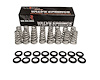 SK017 Spring Kit, 09-Up Gen III Hemi, VVT, .650 in. Lift - image 1