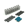 SK025 03-08 GEN III HEMI Spring Kit - image 1