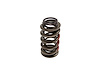 SP002-1 Max Pressure Dual Valve Spring, Max Lift: .650 in. - image 1