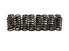 SP005-16 Single Valve Spring Set, Ford 2V Modular, Max Lift: .550 in. - image 1
