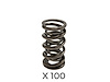 SP010-100 .685 in. Lift Dual Platinum Spring - Pack Of 100 - image 1