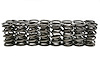 SP010-16 Dual Spring Set, .685 in. Lift - image 1