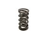 SP010-1 Dual Spring - .685 in. Lift - Sold Individually - image 2