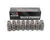 SP016-16 Beehive LS Truck .500 Lift Spring - Set Of 16 - Stock Replacement - image 1