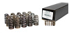 SP021-16 Truck Spring Kit, Mopar, .650 Lift - image 1