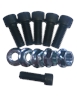 BOLT KIT-5 BOLT WHEEL HUB - image 1