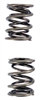 DUAL SPRINGS ONLY .550 - image 1
