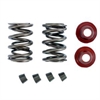 DUAL SPRING KIT .550 LIFT