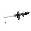 SHOCK/STRUT - image 1
