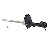 SHOCK/STRUT - image 1