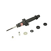 SHOCK/STRUT - image 1