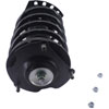 Strut Plus Assembly 2000-2007 Ford/Mercury Vehicles - image 3