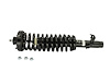 Strut Plus Assembly for 1994-1997 Honda Accord [Front Right/Passenger Side] - image 1