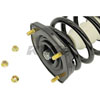 SHOCK/STRUT - image 2