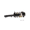 Strut Plus Assembly 2006-2007 Ford Focus - image 1