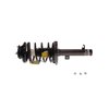 Strut Plus Assembly 2006-2007 Ford Focus - image 2