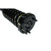 SR4121 Strut-Plus Strut and Coil Spring Assembly for 2003-2007 Honda Accord - image 4