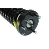 SR4136 Strut-Plus Strut and Coil Spring Assembly for 2003-2007 Honda Accord - image 3